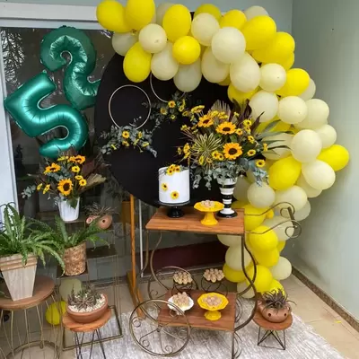 Aluguel de vestidos de festa hot sale jardim camburi