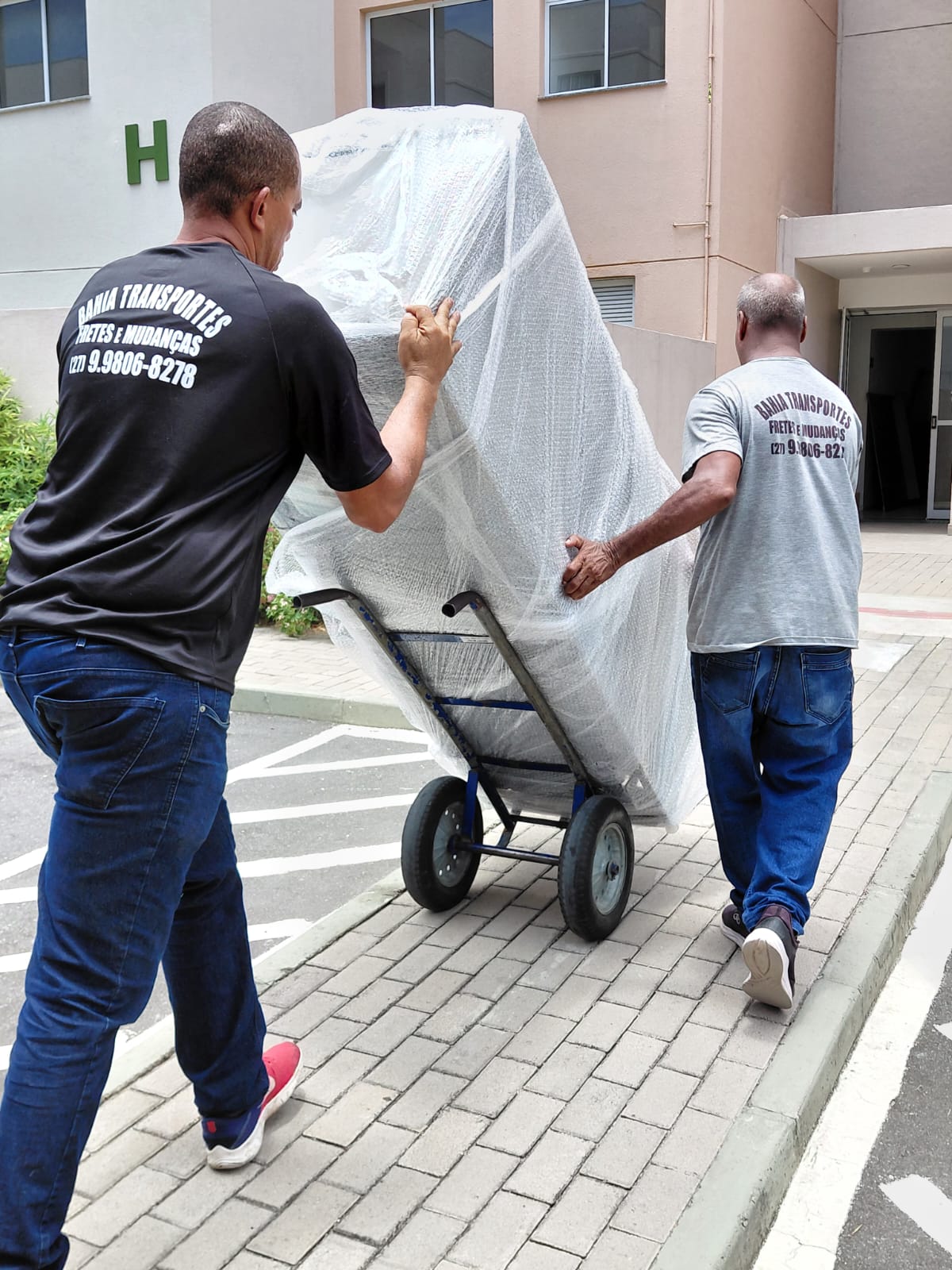bahia-transportesg1064.jpeg